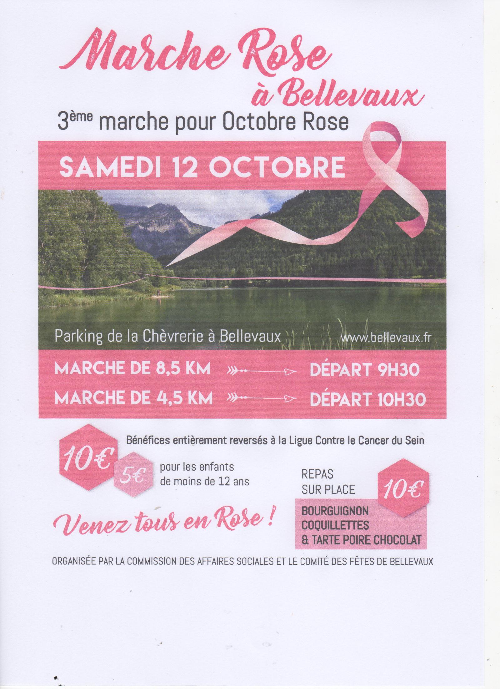 Marche Rose à Bellevaux